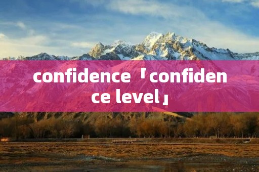 confidence「confidence level」