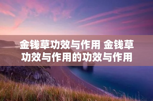 金钱草功效与作用 金钱草功效与作用的功效与作用
