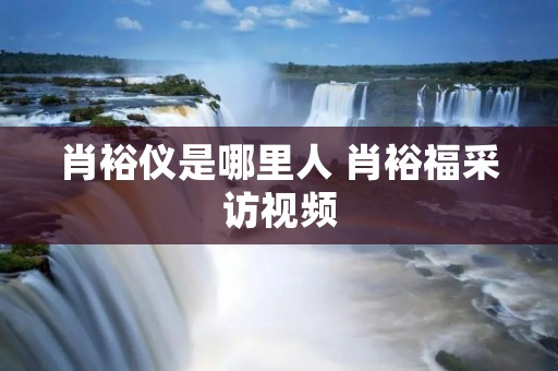 肖裕仪是哪里人 肖裕福采访视频 肖裕仪是哪里人 肖裕福采访视频