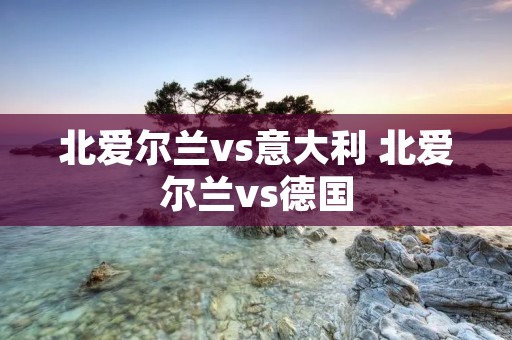 北爱尔兰vs意大利 北爱尔兰vs德国