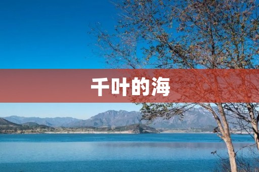 千叶的海:一场心灵的舞蹈
