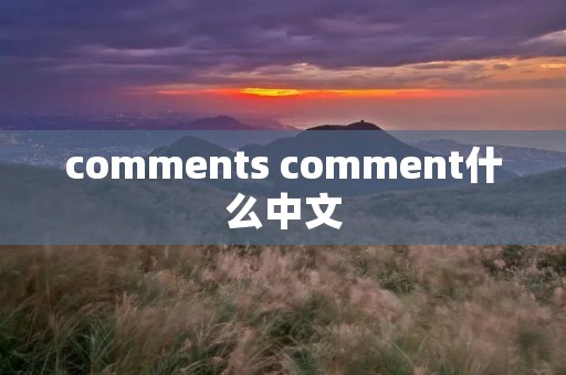 comments comment什么中文