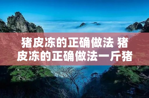 猪皮冻的正确做法 猪皮冻的正确做法一斤猪皮多少水