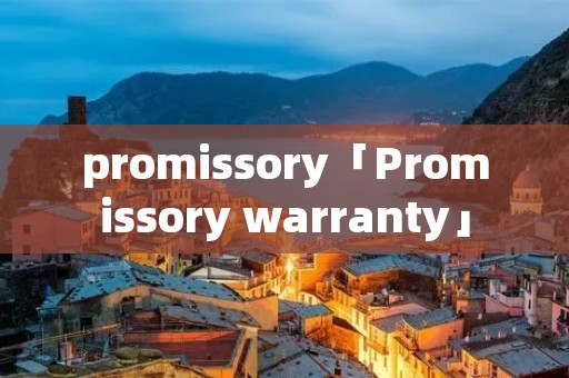 promissory「Promissory warranty」