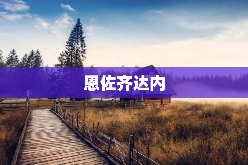 恩佐齐达内:一位足球界传奇的故事 恩佐齐达内:一位足球界传奇的故事
