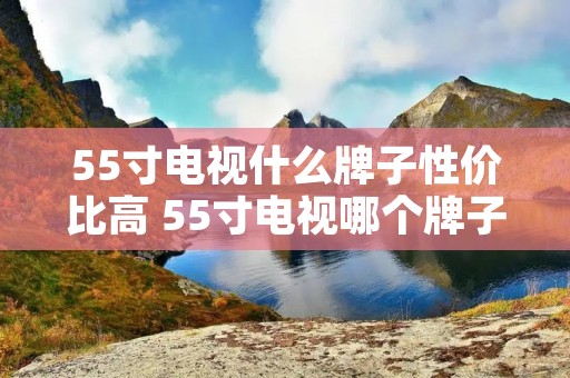 55寸电视什么牌子性价比高 55寸电视哪个牌子性价比高