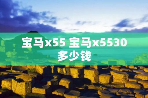 宝马x55 宝马x5530多少钱