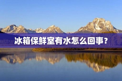冰箱保鲜室有水怎么回事？