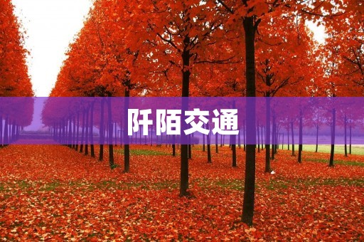 阡陌交通:连接城乡的新动脉