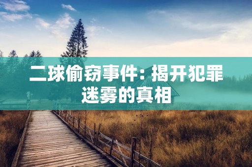 二球偷窃事件: 揭开犯罪迷雾的真相