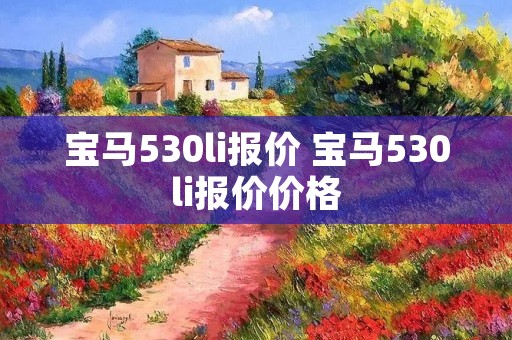 宝马530li报价 宝马530li报价价格