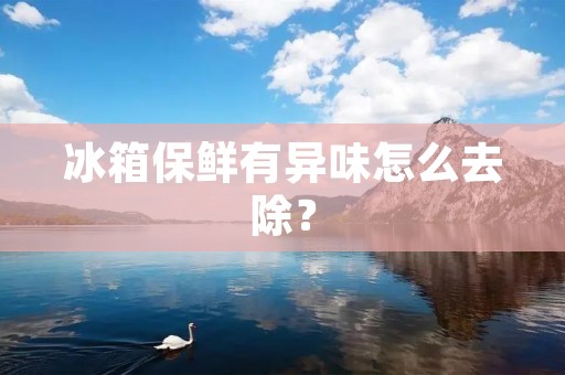 冰箱保鲜有异味怎么去除? 冰箱保鲜有异味怎么去除?