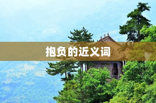 抱负的近义词:志向、目标、抱负、追求、渴望、雄心、理想、梦想、野心、心愿