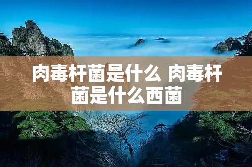 肉毒杆菌是什么 肉毒杆菌是什么西菌