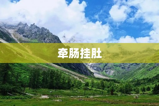 牵肠挂肚:探寻内心的焦虑与困扰