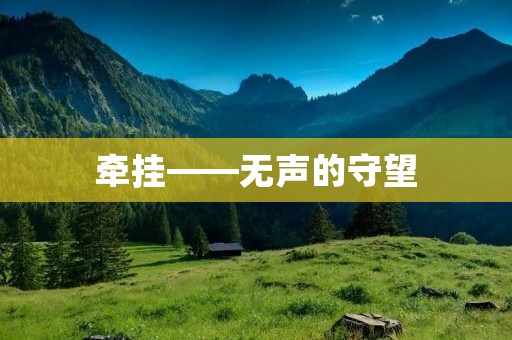 牵挂——无声的守望