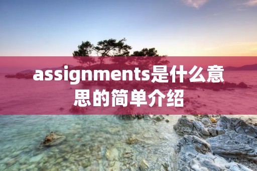 assignments是什么意思的简单介绍