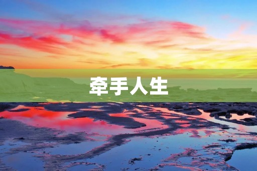 牵手人生:携手共度的幸福旅程