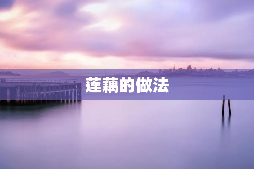 莲藕的做法 莲藕的做法