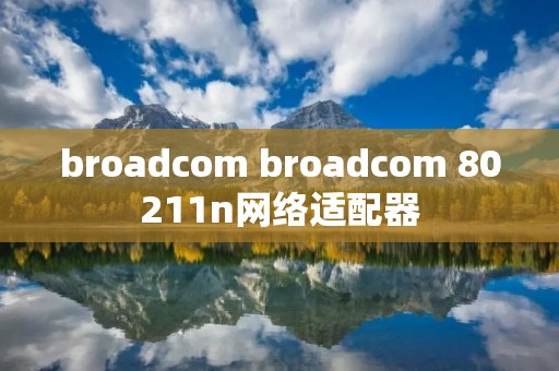 broadcom broadcom 80211n网络适配器