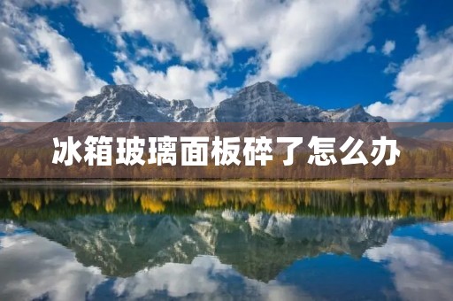 冰箱玻璃面板碎了怎么办