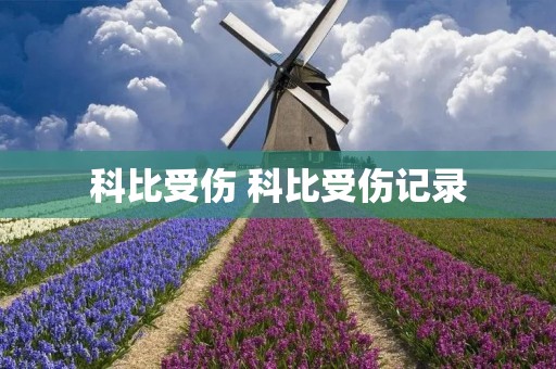 科比受伤 科比受伤记录