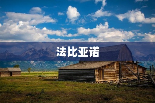 法比亚诺:一位领导者和创新者 法比亚诺:一位领导者和创新者