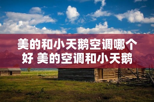 美的和小天鹅空调哪个好 美的空调和小天鹅空调的区别