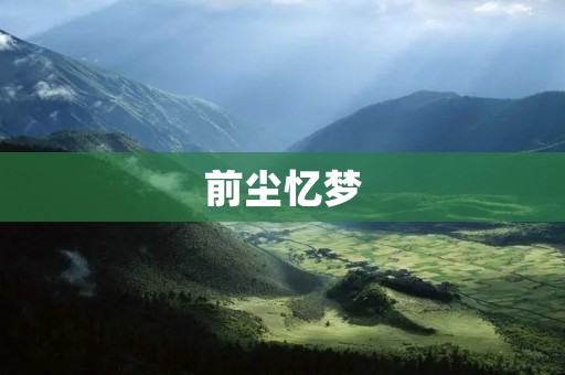 前尘忆梦:重拾逝去的记忆