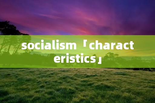 socialism「characteristics」