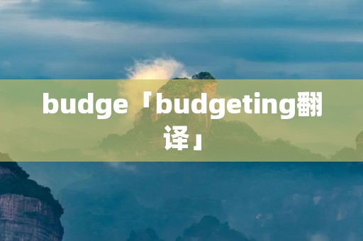 budge「budgeting翻译」