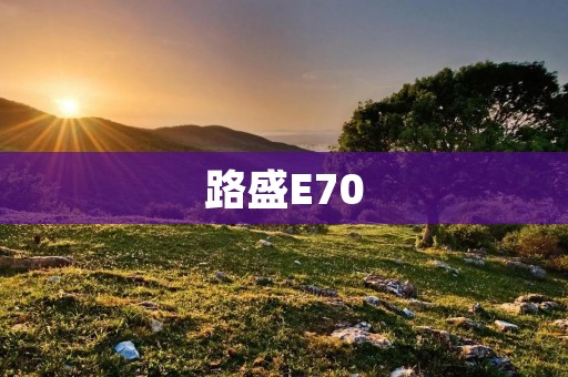 路盛E70:开启智能出行新时代 路盛E70:开启智能出行新时代