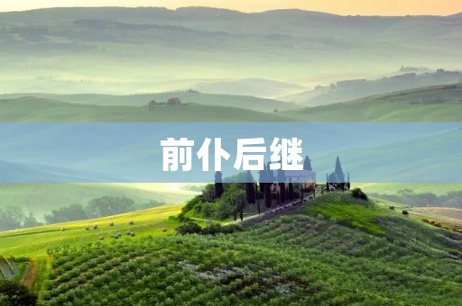 前仆后继:一代接着一代,永不止步