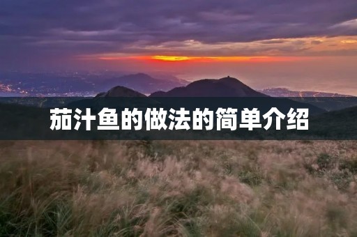 茄汁鱼的做法的简单介绍