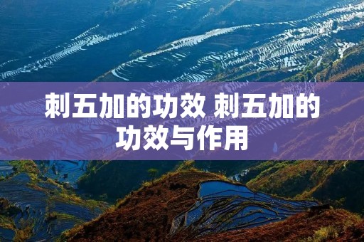 刺五加的功效 刺五加的功效与作用