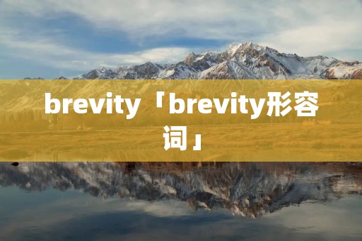 brevity「brevity形容词」