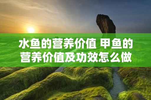 水鱼的营养价值 甲鱼的营养价值及功效怎么做甲鱼汤