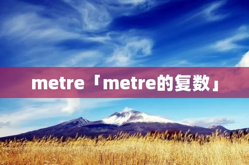 metre「metre的复数」 metre「metre的复数」