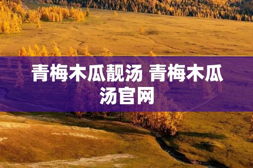 青梅木瓜靓汤 青梅木瓜汤官网
