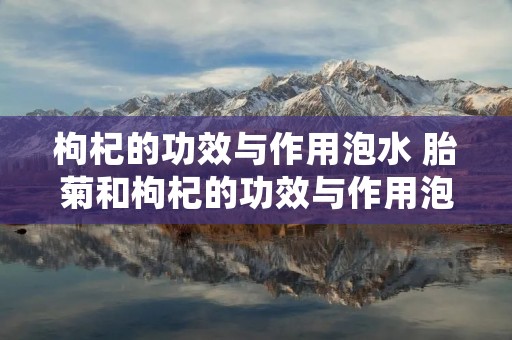 枸杞的功效与作用泡水 胎菊和枸杞的功效与作用泡水