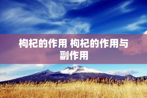 枸杞的作用 枸杞的作用与副作用