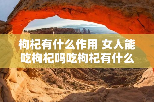 枸杞有什么作用 女人能吃枸杞吗吃枸杞有什么作用