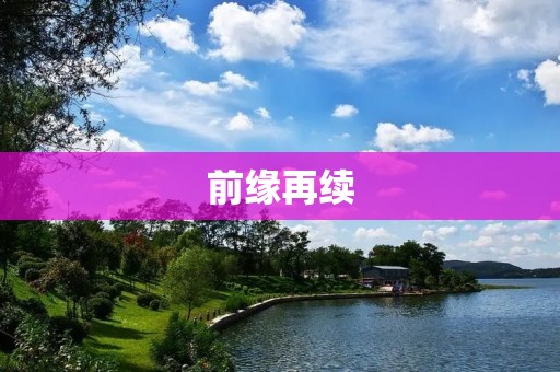 前缘再续:重逢的喜悦与挑战