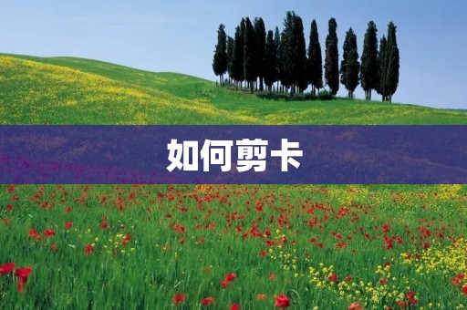 如何剪卡:打造完美发型的技巧与步骤