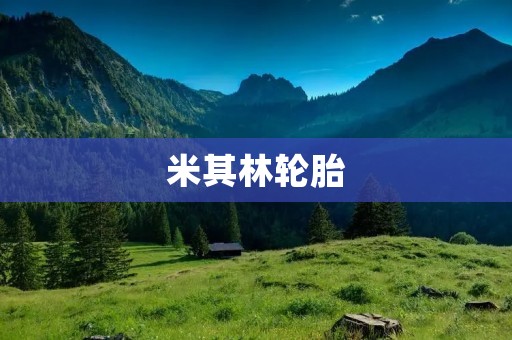 米其林轮胎:驾驶之选 米其林轮胎:驾驶之选