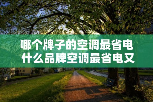哪个牌子的空调最省电 什么品牌空调最省电又节能