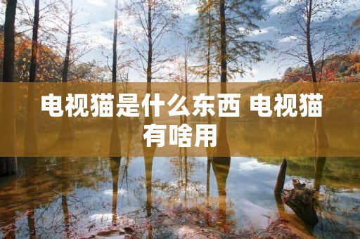 电视猫是什么东西 电视猫有啥用 电视猫是什么东西 电视猫有啥用