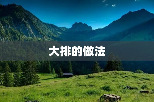 大排的做法：传统美味的烹饪方式