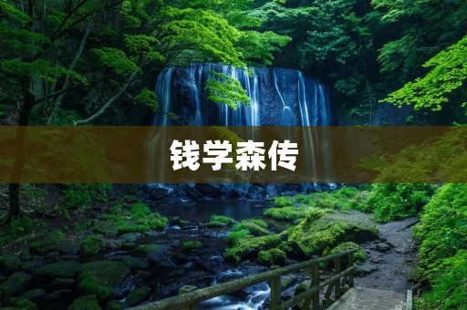 钱学森传:科学家与国家的使命担当