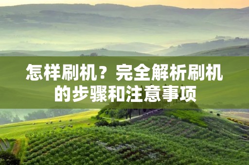 怎样刷机?完全解析刷机的步骤和注意事项